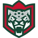 Ak Bars Kazan
