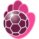 BM Guadalajara