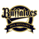 Orix Buffaloes