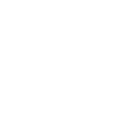 Dynamo Moscow