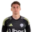 Henrique Menke