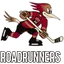 Tucson Roadrunners