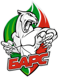 Bars Kazan