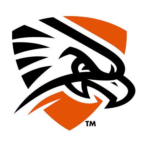 UT Permian Basin